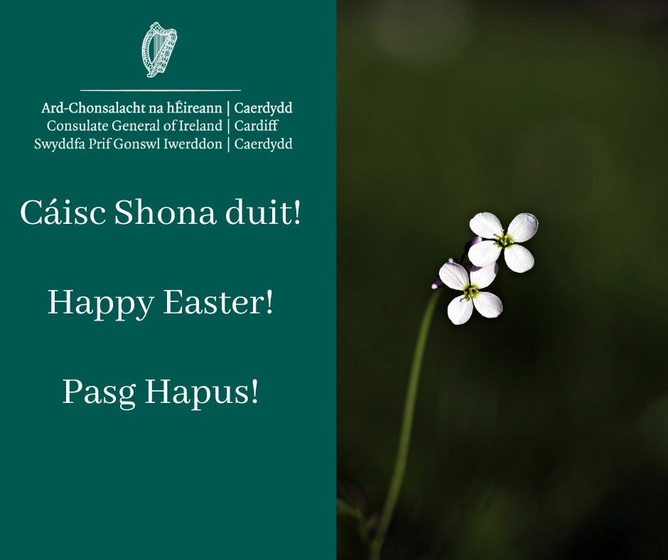 Cáisc Shona duit! Happy Easter! Pasg Hapus! The Consulate General team wishes a peaceful holiday to everyone celebrating in Wales, Ireland & beyond.