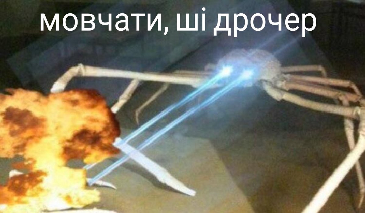 м'йору 🥧 рест | пішла в блускай tweet media