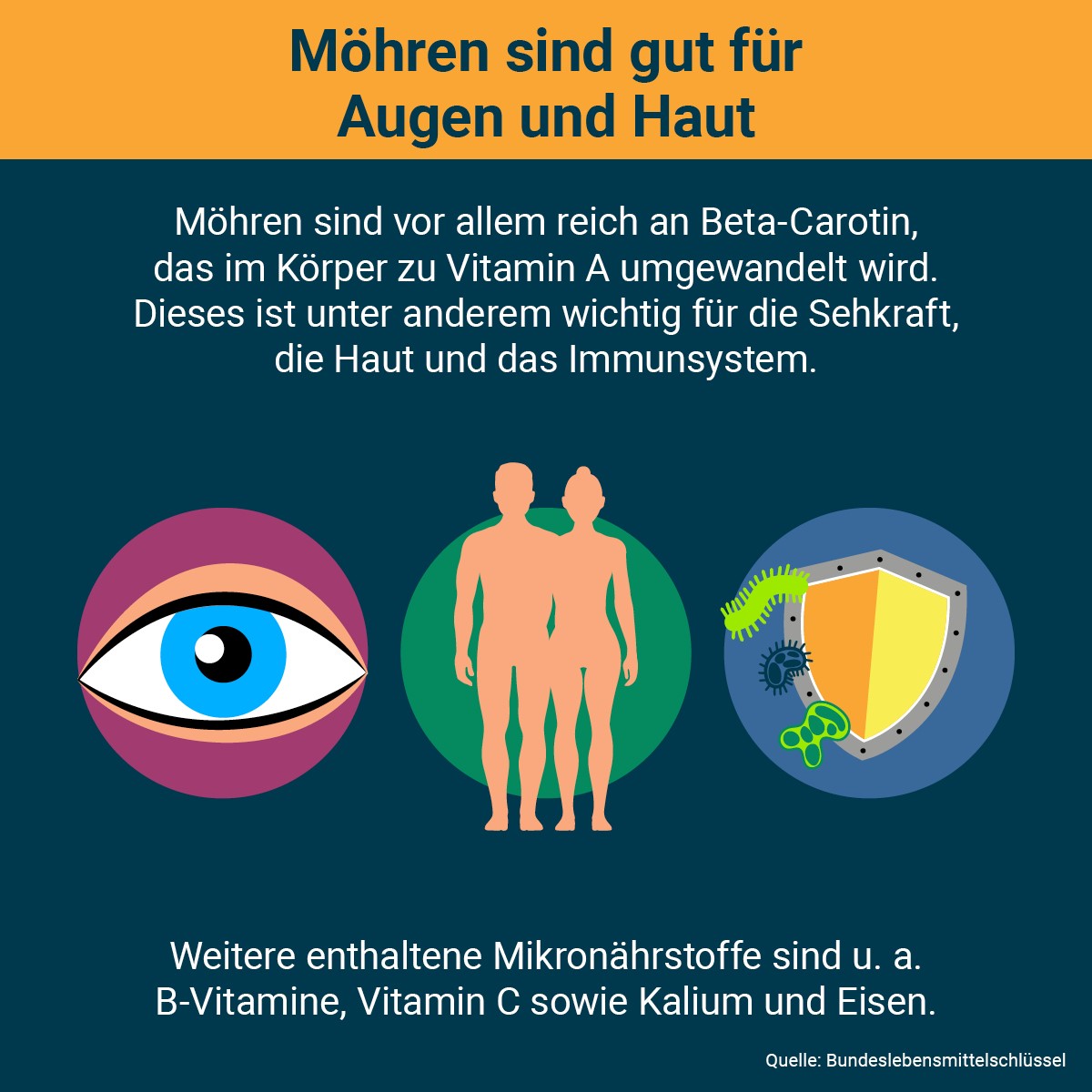 #Möhren sind nicht nur beim Osterhasen beliebt, sondern werden auch von den Deutschen gern gegessen. Und das aus gutem Grund, denn Möhren enthalten wichtige Nährstoffe und lassen sich auf vielfältige Art zubereiten.🥕 Wir wünschen allen frohe Ostern!🐰