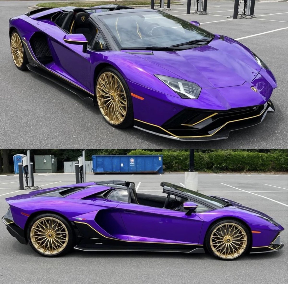 Viola Pasifae Aventador Ultimae Roadster