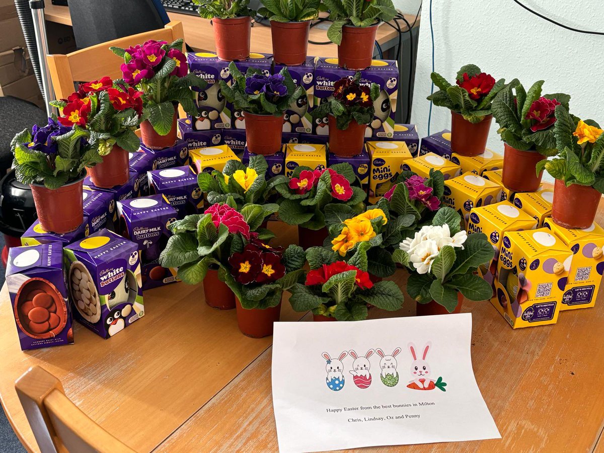 PierHealthGroup's tweet photo. Feeling extra hoppy because the Easter Bunny Partners at Milton made a special delivery yesterday! 🌸🐰 

Our staff at Milton Surgery were surprised with Easter eggs and flowers, brightening our day and bringing smiles all around. 

#EasterSurprise #MiltonMagic https://t.co/Bf2fzo8uPt