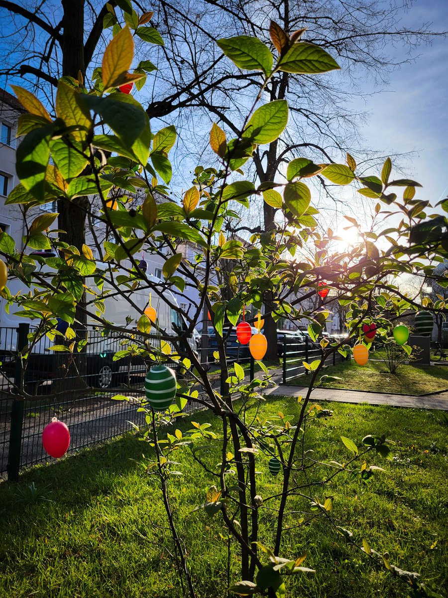 Gründonnerstag🐰🌱🌞