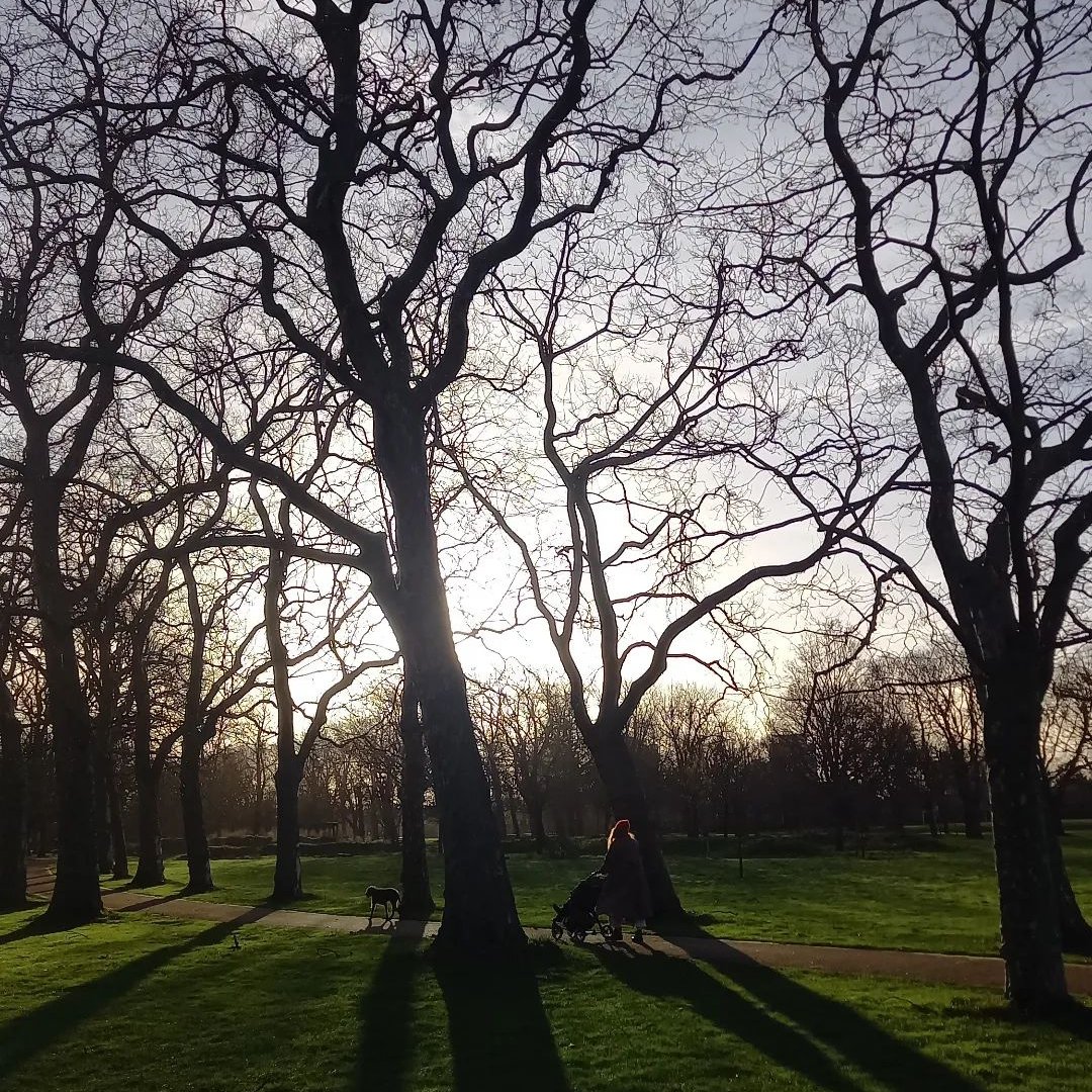 Do you have any photos from your latest visit to West Ham Park? Make sure to tag us @westhamparke7 for your chance to feature on our socials!

📸: adrianholme, Instagram 

#WestHamPark