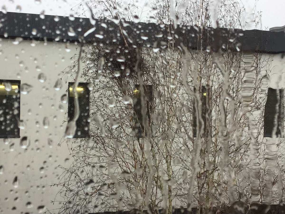 LibrarianFHS's tweet photo. Goodness, I hope our feathered friends have waterproofed their nest, and they survive the heavy downpour and hailstones!
@forresterhs
#Nature
#BirdsNesting https://t.co/0atNabPorB