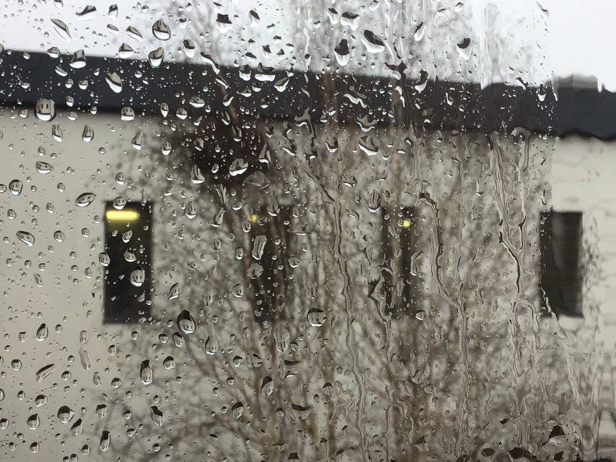 LibrarianFHS's tweet photo. Goodness, I hope our feathered friends have waterproofed their nest, and they survive the heavy downpour and hailstones!
@forresterhs
#Nature
#BirdsNesting https://t.co/0atNabPorB