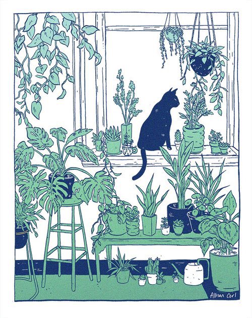 「黒猫 植物」のTwitter画像/イラスト(新着)