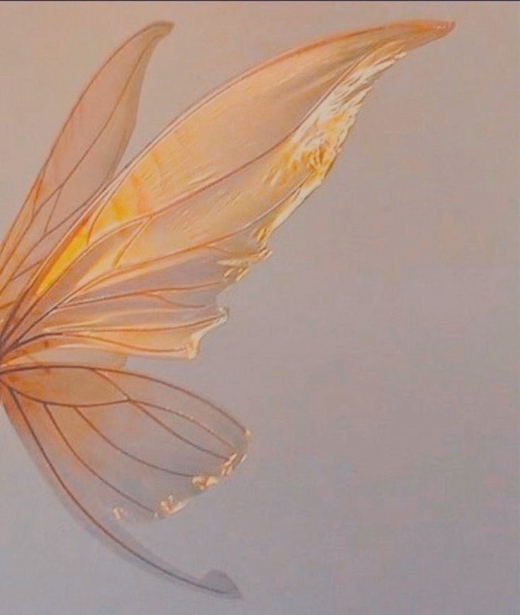 lily 🪷 tweet media
