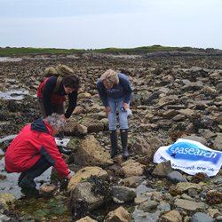 Out and about at the seashore over the #EasterHolidays? Fancy going on a #rockpooling adventure? Our selection of #FieldGuides might be just what you need👇 shop.mcsuk.org/collections/ro… #UKMarineLife #SeashoreSafari #rockpool #seashore @mcsuk @seasearchscot @SeasearchNI