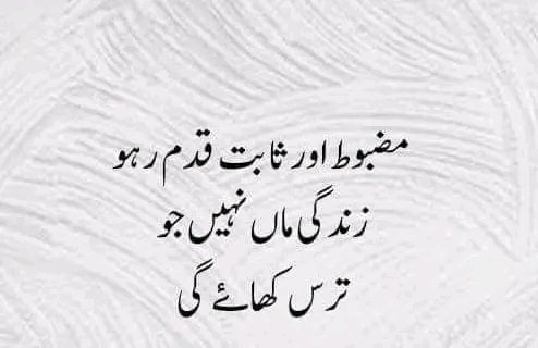 Jamshed Sultan (@jamshed3831) on Twitter photo 