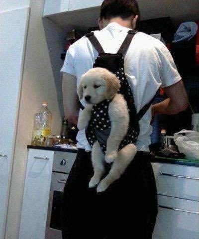 jevinoadr's tweet image. Aaron Eugene Geneva (gemblung) Adrian

CHLOE DIGENDONG GITU GUE KAGET BANGET BARU MASUK DAPUR