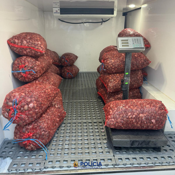 PSP_Portugal's tweet photo. A @psplisboa, através da Divisão de Vila Franca de Xira, apreendeu 540 kg de amêijoa japónica. Esta quantidade de bivalve foi apanhada de forma ilegal no Rio Tejo, tendo sido apreendida e restituída ao seu habitat natural.
#PSP #segurança #defesaanimal #BriPA https://t.co/d1h7xouoMf