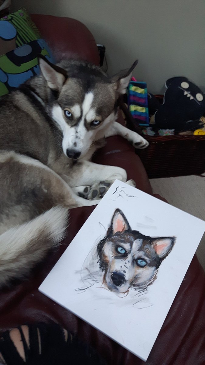 SUBombshell's tweet photo. Gm 💣💥

Here's a little throwback to a quick oil pastel sketch of my sweet Willow pillow. 🐺❤️ https://t.co/gVtPo0vimt