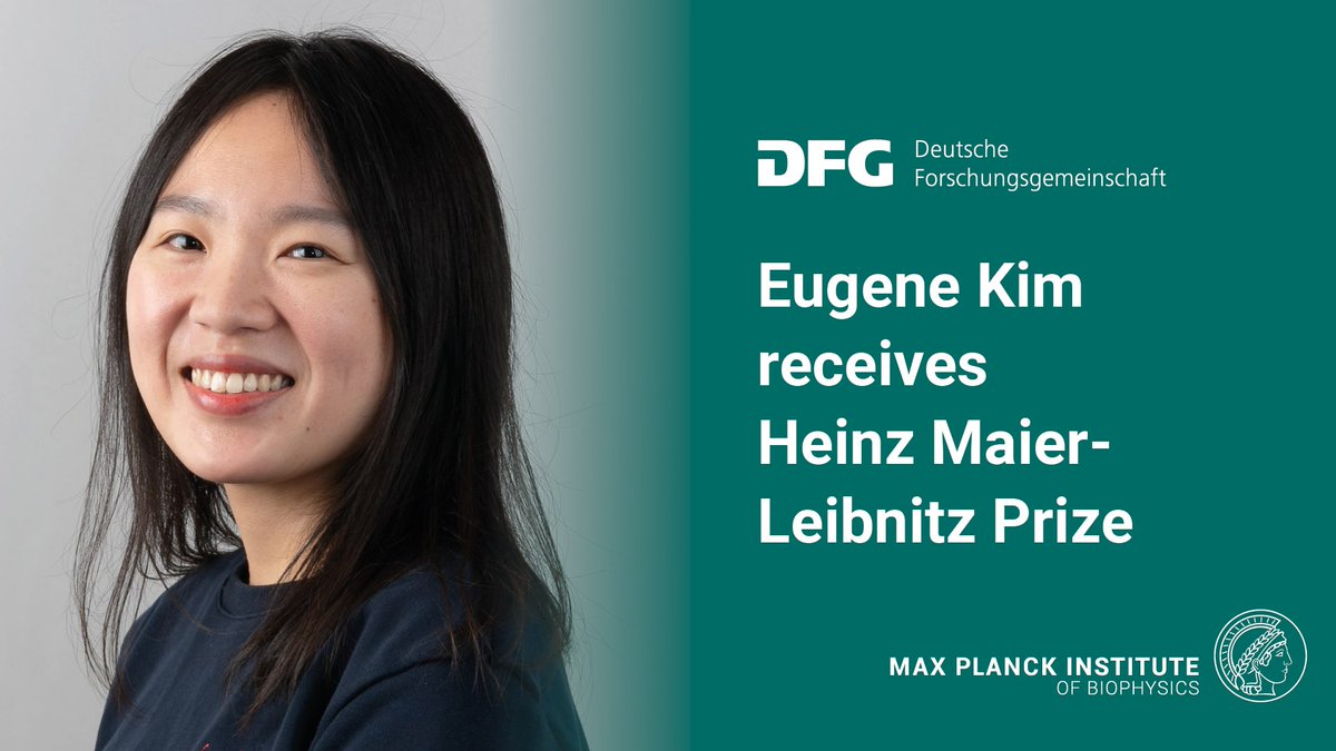 Heartfelt congrats to our group leader @eugene_kim__ (@EKimlab) on receiving the Heinz Maier-Leibnitz Prize, one of the most important awards for early-career researchers, for her research on genome packaging! #biophysics @dfg_public @maxplanckpress 👉 biophys.mpg.de/eugene-kim-hei…