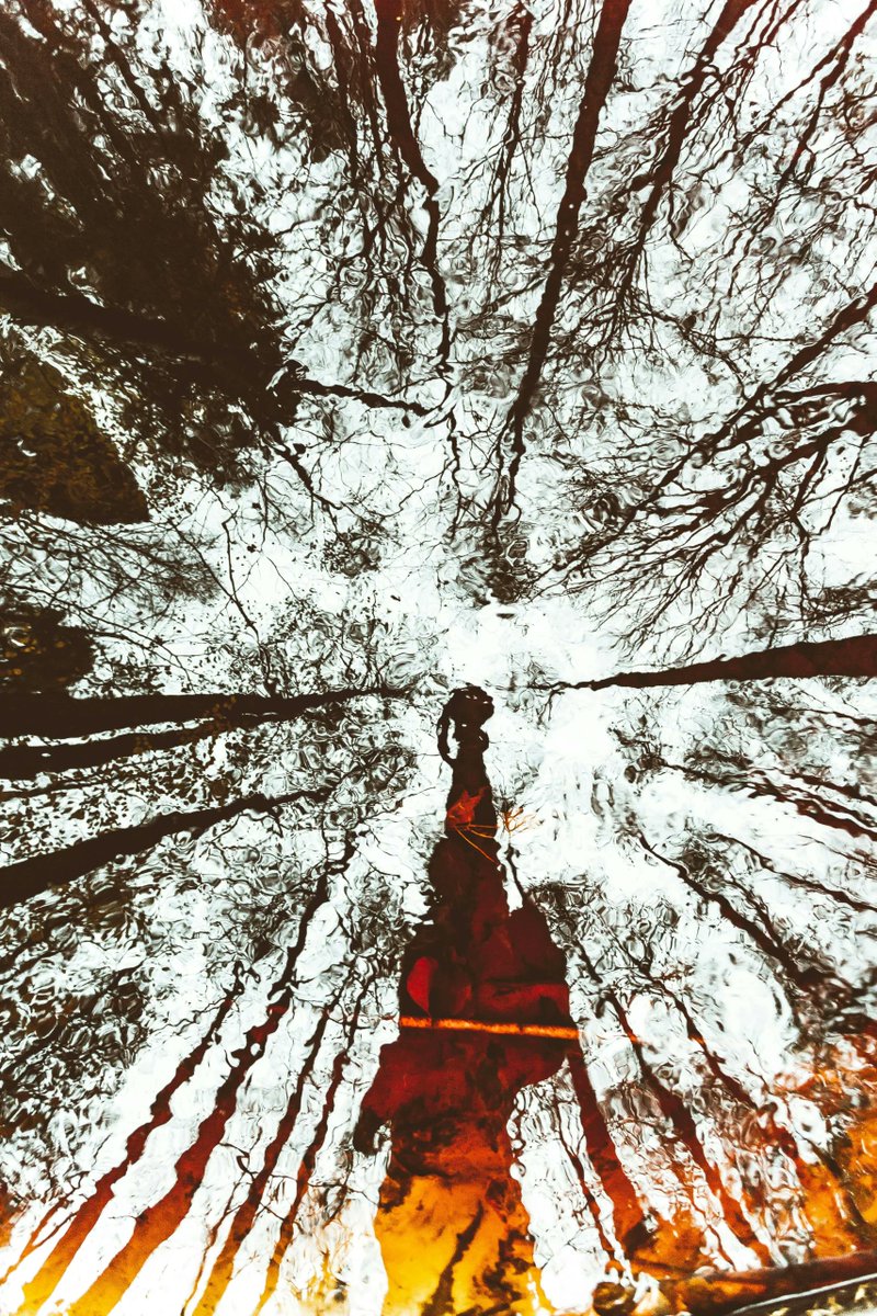 Environmental Funders Network tweet media