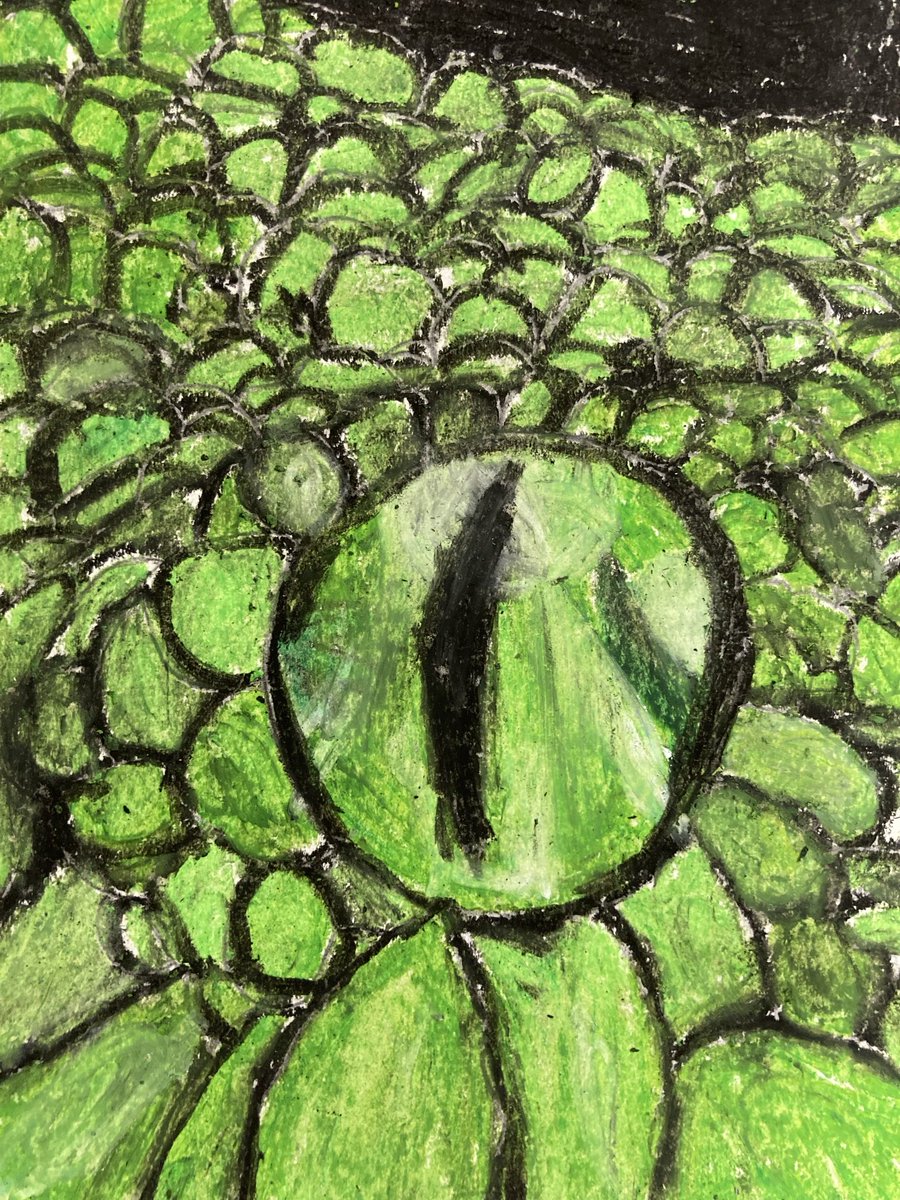 #Beautiful drawing skills on show in Year 5