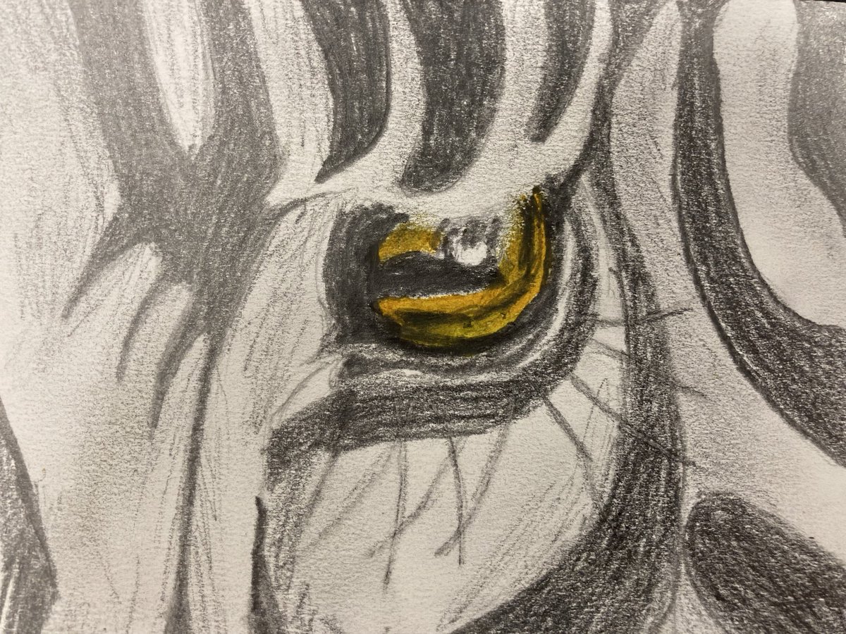 WoodFarmSchool's tweet photo. #Beautiful drawing skills on show in Year 5 https://t.co/up3ZHYoRVq