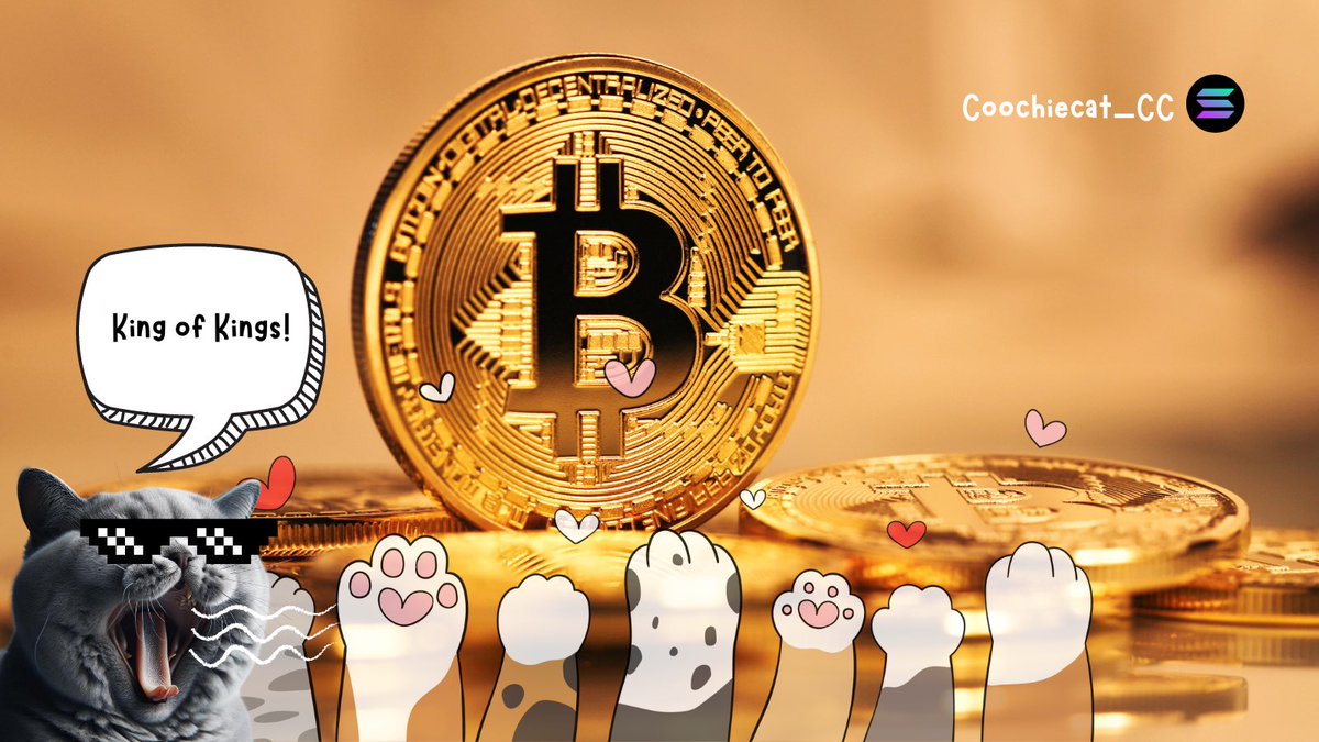 Coochiecat_CC's tweet photo. @saylor @BitcoinSapiens King of Kings https://t.co/JKmftA2aNr