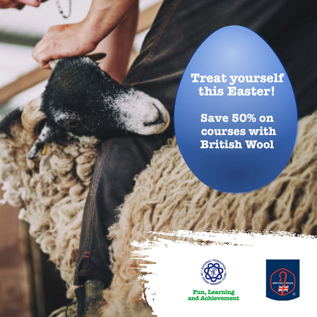 Give yourself an amazing Easter pressie by saving 50% on blade and shearing courses with @BritishWoolFarm. 🐑 🐣 Only a few days left to book – deadline is Easter Sunday. 👉 nfyfc.org.uk/save-50-on-she… #YoungFarmers
