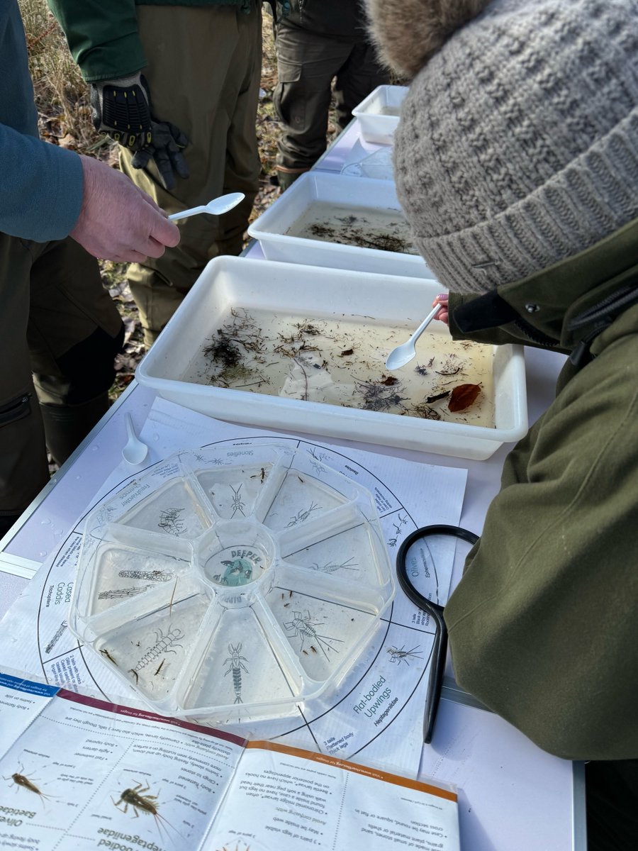 6 people from local watershed communities are now ready to start their Citizen Science journey, monitoring invertebrates and the health of the River Findhorn and its tributaries, thanks to Invertebrate Monitoring Training from @BuglifeScotland!