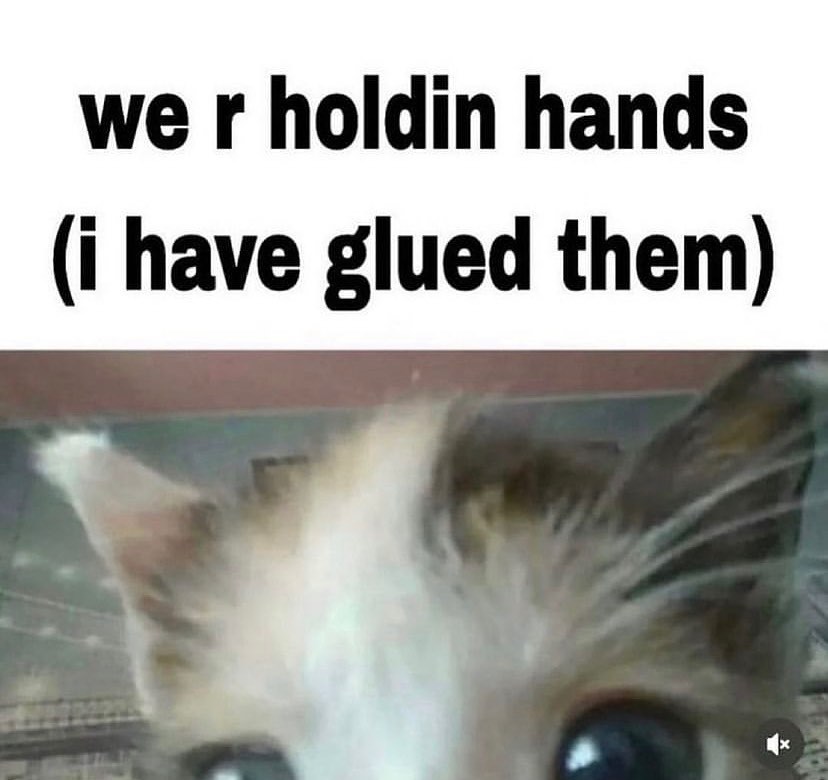 PunchingCat's tweet photo. https://t.co/pyqjfQB88K