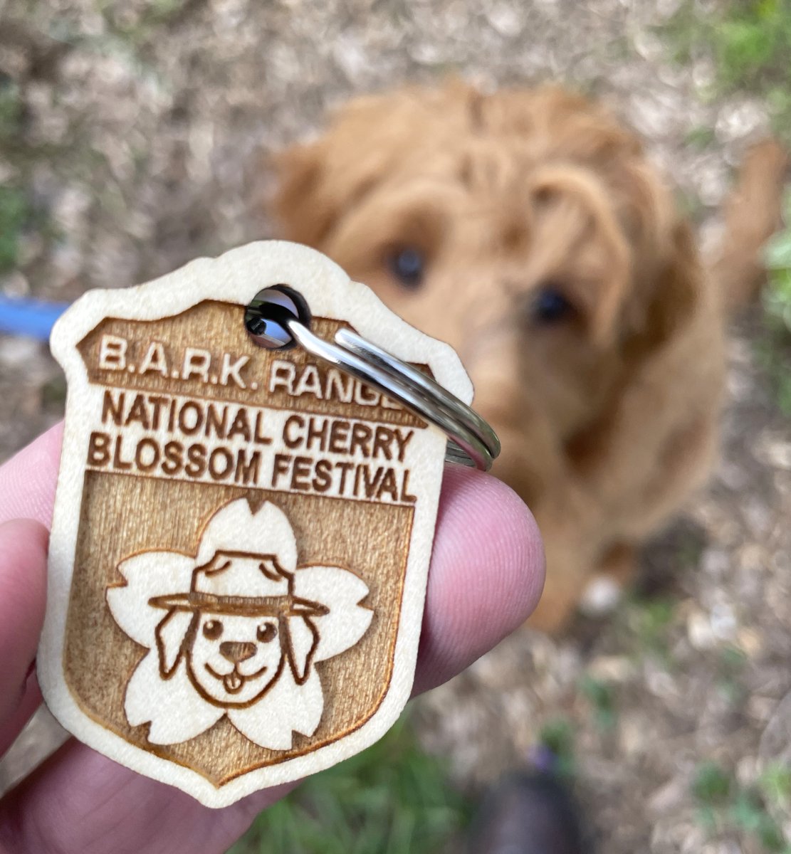 National Mall NPS tweet media