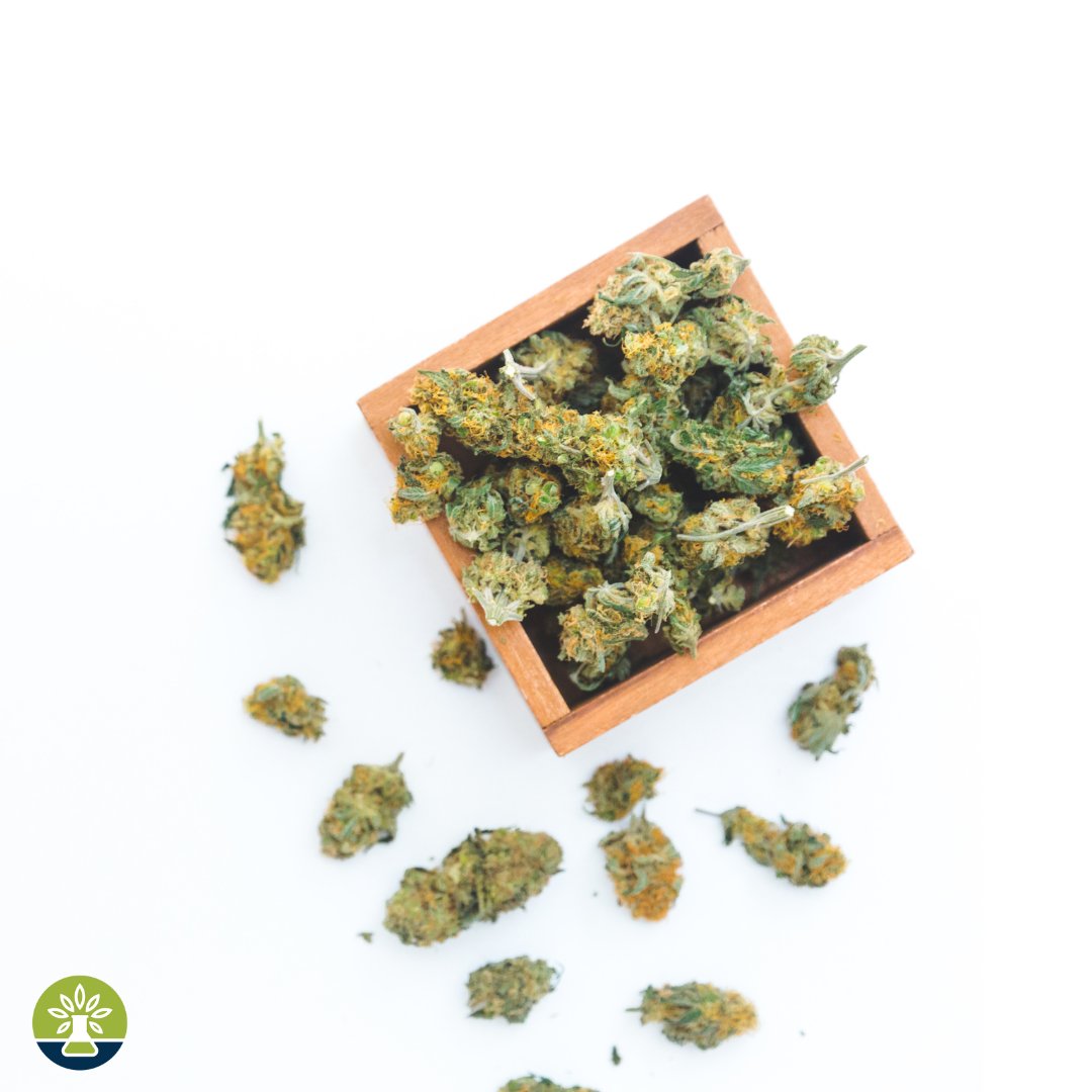 MoCannTesting's tweet image. Accurate testing, and reliable results. Trust us to give you the full picture of your cannabis product.

#cannabisqualityassurance #marijuanatestinglab #THCtesting #CBDtesting #cannabisanalytics #cannabissafetytesting #cannabiseffectiveness #cannabismethodvalidation