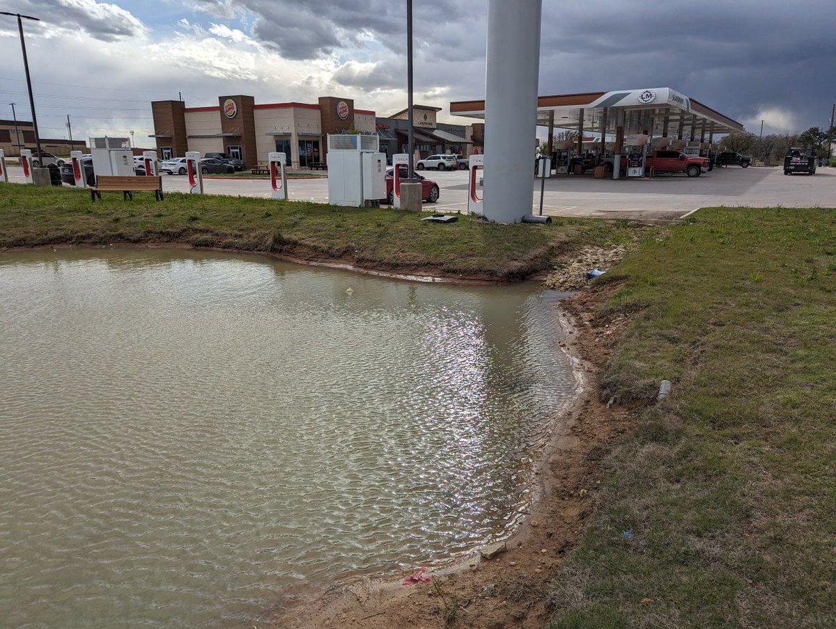 Smart urban planning isn't always good for wildlife directly. Here a water catchment collects runoff from a gas station, preventing pollutants.from entering streams. The pond itself however is not suitable for animal consumption or habitation.