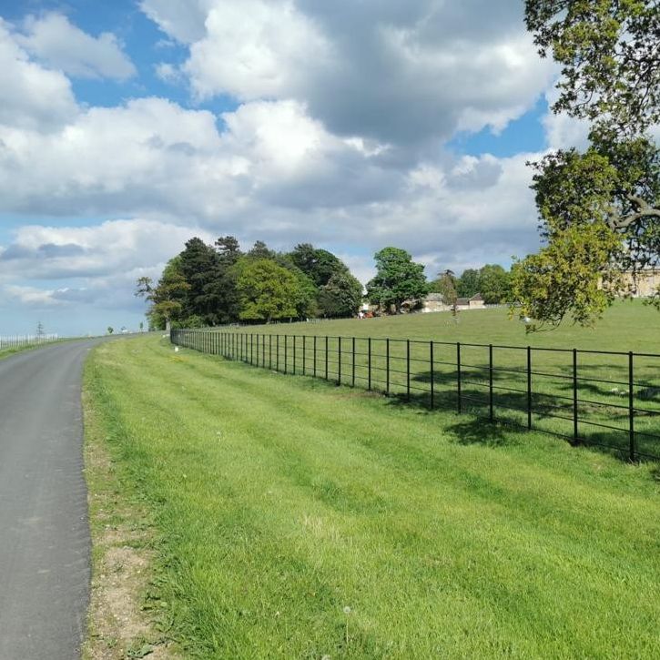 Our Fencing adds value to your property, not only does it look great but creates a perfect border leading alongside the driveway

Installed by one of our teams or delivered loose directly to you for self installation

#fence
#steelfence
#driveway
#estatefencing
#thetraditionalco