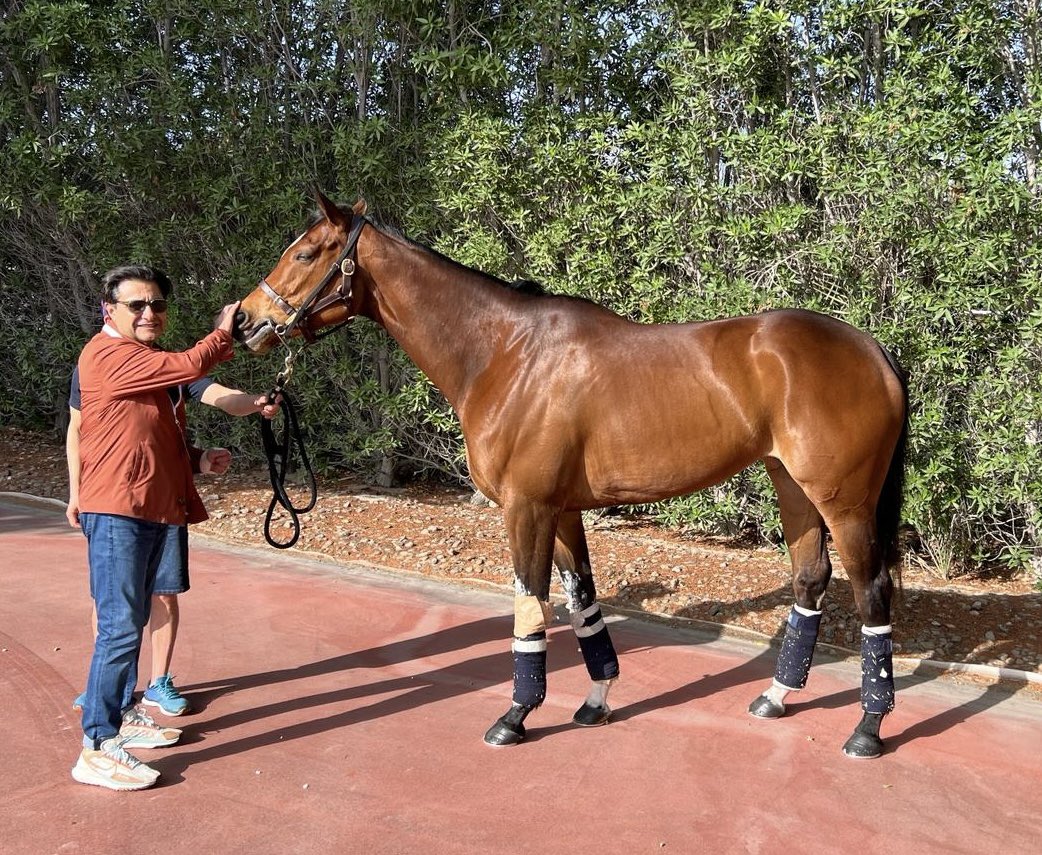 Imad Al Sagar greeting his star mare Nashwa this afternoon at Meydan