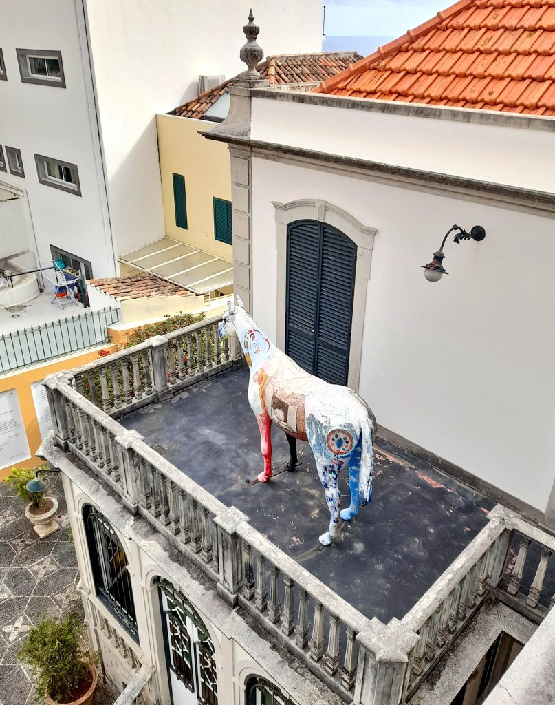 Happy Thursday! Different views... 😊🐎 #Funchal #MadeiraIslands🏝