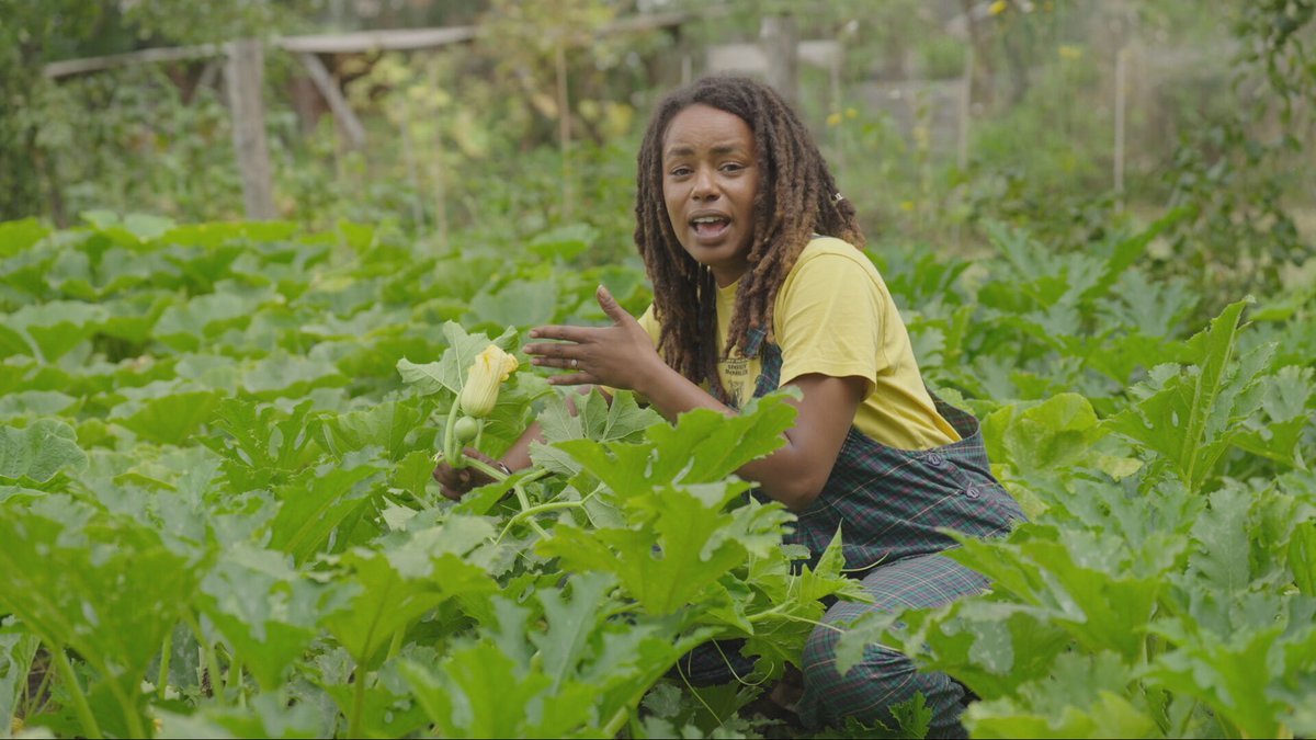 Eva wil een moestuin. Ze wil haar eigen groenten en fruit kweken, maar krijgt het niet voor elkaar. Ze gaat langs bij professioneel tuinder Renée Janssen. Die legt haar uit wat een zaadje allemaal nodig heeft om uit te groeien tot een sappige vrucht. klokhu.is/moestuin