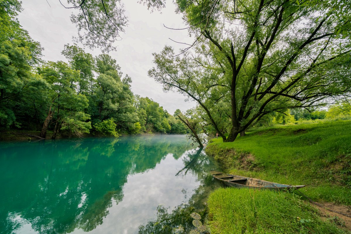 Da li ste znali da područje Parka prirode Zeta karakteriše veliki broj beskičmenjaka, 10 vrsta vodozemaca i 23 vrste gmizavaca, čak 265 vrsta ptica i 24 vrste sisara!

Dolina rijeke Zete je proglašena parkom prirode 2019. godine.

Foto: S.Nikolić

<a href="/theGEF/">Global Environment Facility (GEF)</a> 
<a href="/UNDP_Montenegro/">UNDP in Montenegro</a> 
#MERT