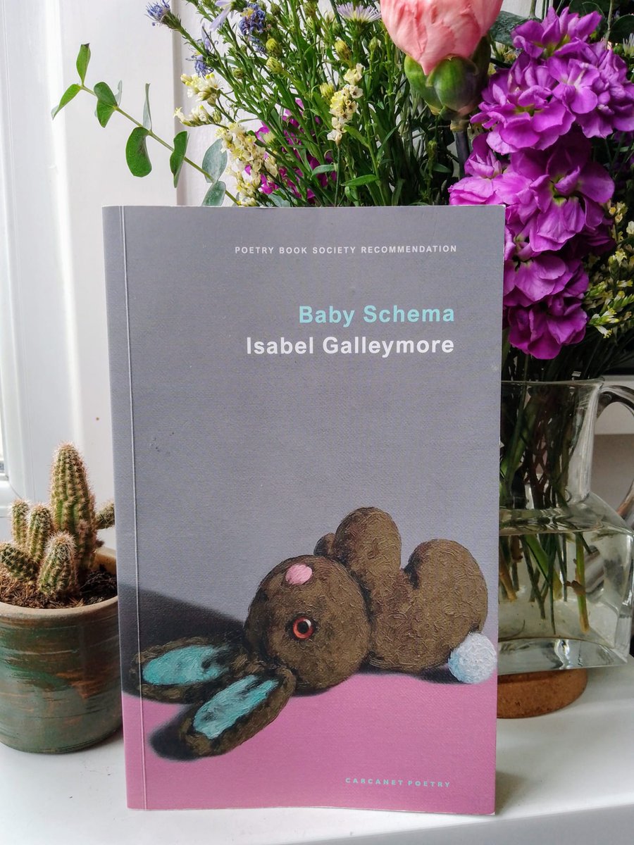 It's publication day for BABY SCHEMA @carcanetpress. and we're launching at @vocebooks this eve. If you're curious about the cover, it's by artist Peter Jones who paints portraits of dearly loved stuffed toys. Buy your copy here: carcanet.co.uk/cgi-bin/indexe…