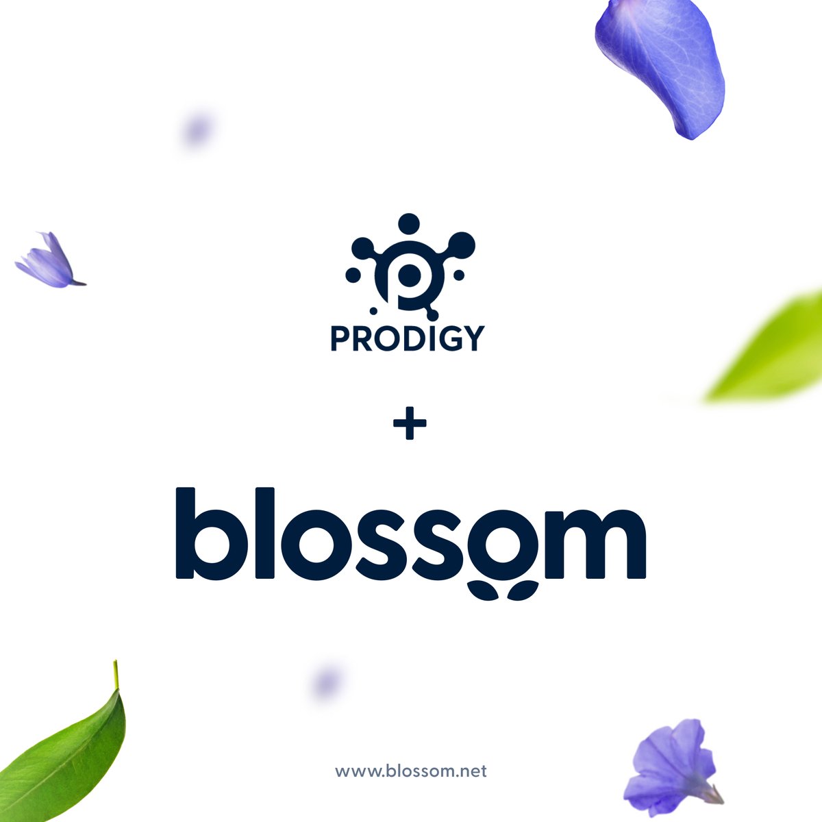 We’re excited to announce that Blossom acquired Prodigy. Chris Moore is now CEO of CUProdigy LLC, while serving as Blossom Financial Technologies’ CEO. @blossomfintech is a CUSO offering digital banking solutions, now including core processing. #CUSO #FlowerPower #CreditUnions