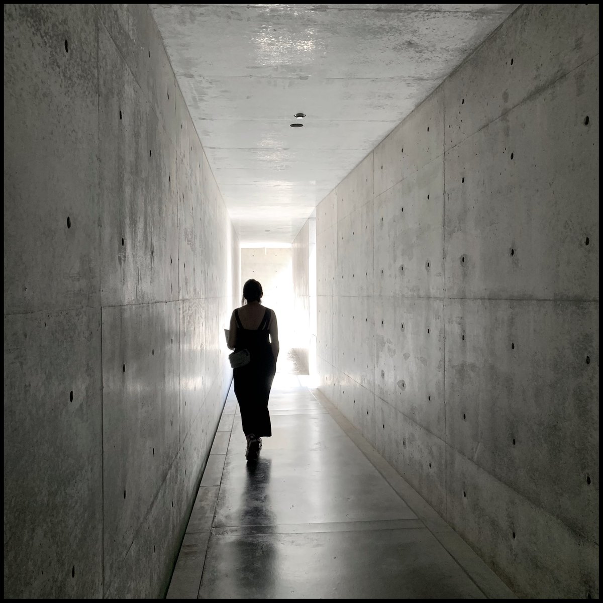 女性
.
.
.
写真: @AvilaSimpson / 2023 #museum #naoshima #japan #tadaoando #tadaoandoarchitecture #woman #instagood #photo #museumphotography #chichuartmuseum #architecture  #japanese #japan🇯🇵 #alvaroavilasimpson #maquigrafia #shootiniphone #shootoniphone #fullframephotography