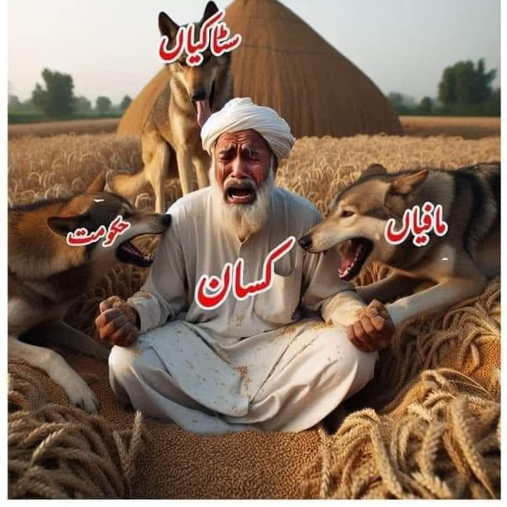 moheen gujar (@moheengujar) on Twitter photo 