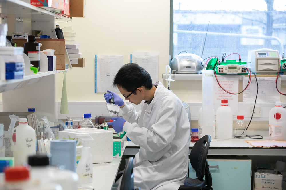 There's only a month left to apply for one of @neuroshef's Advanced Cell and Gene Therapies scholarships! We have two bursaries worth £6,200 each to help students fund their master's studies. Read the eligibility criteria and apply at sheffield.ac.uk/smph/postgradu…. @ShefUni_ClinMed