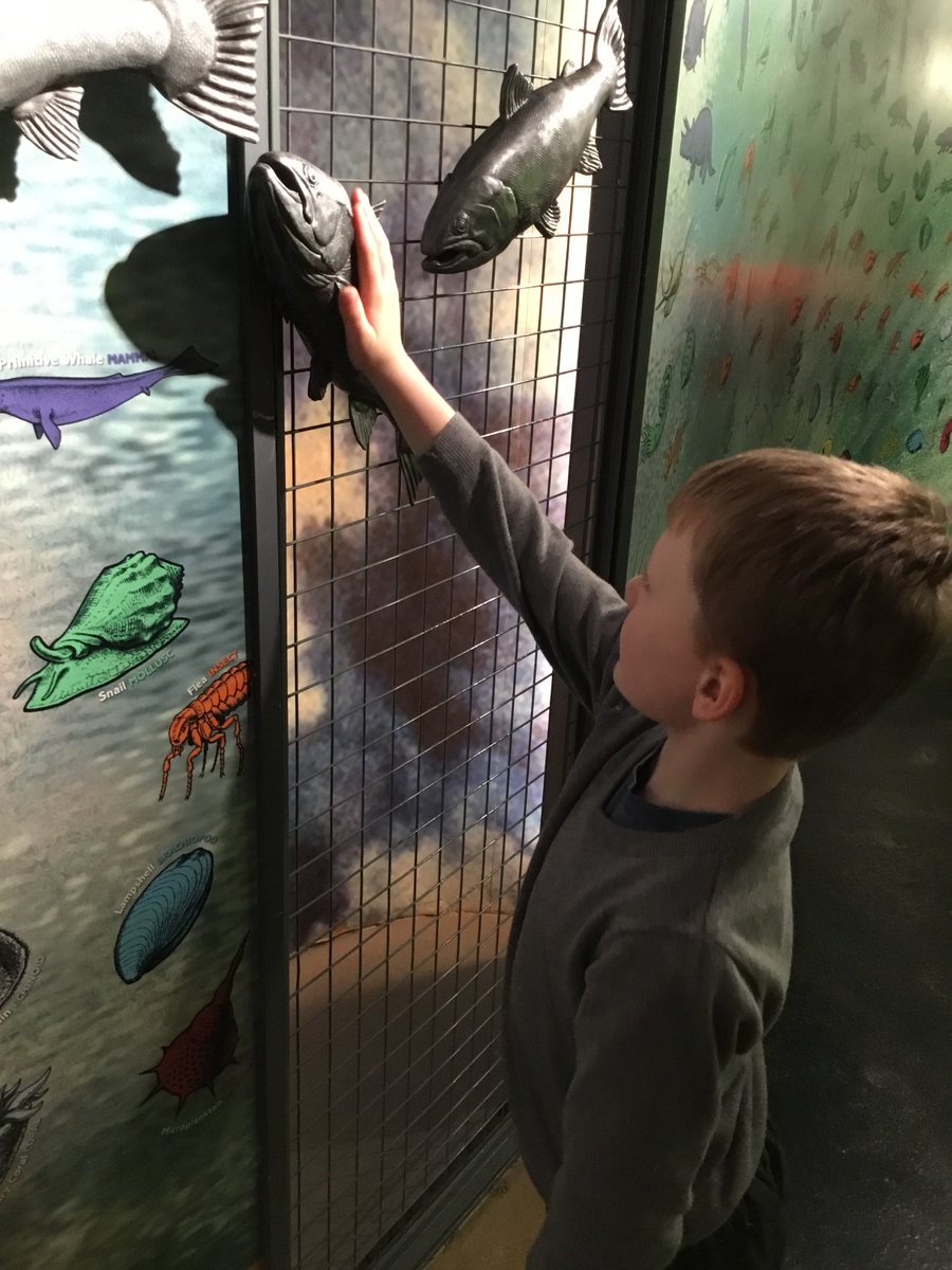 Mountfleurie Primary School tweet media