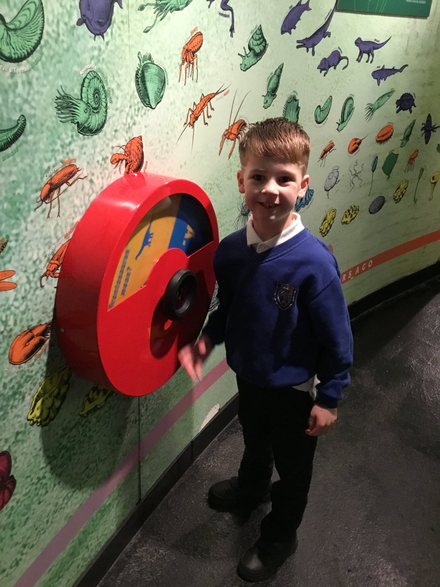 Mountfleurie Primary School tweet media