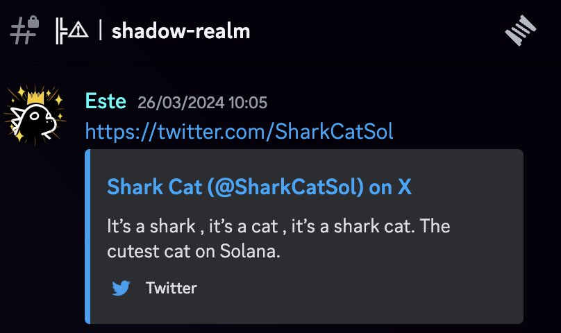 Este 𝕏 tweet media