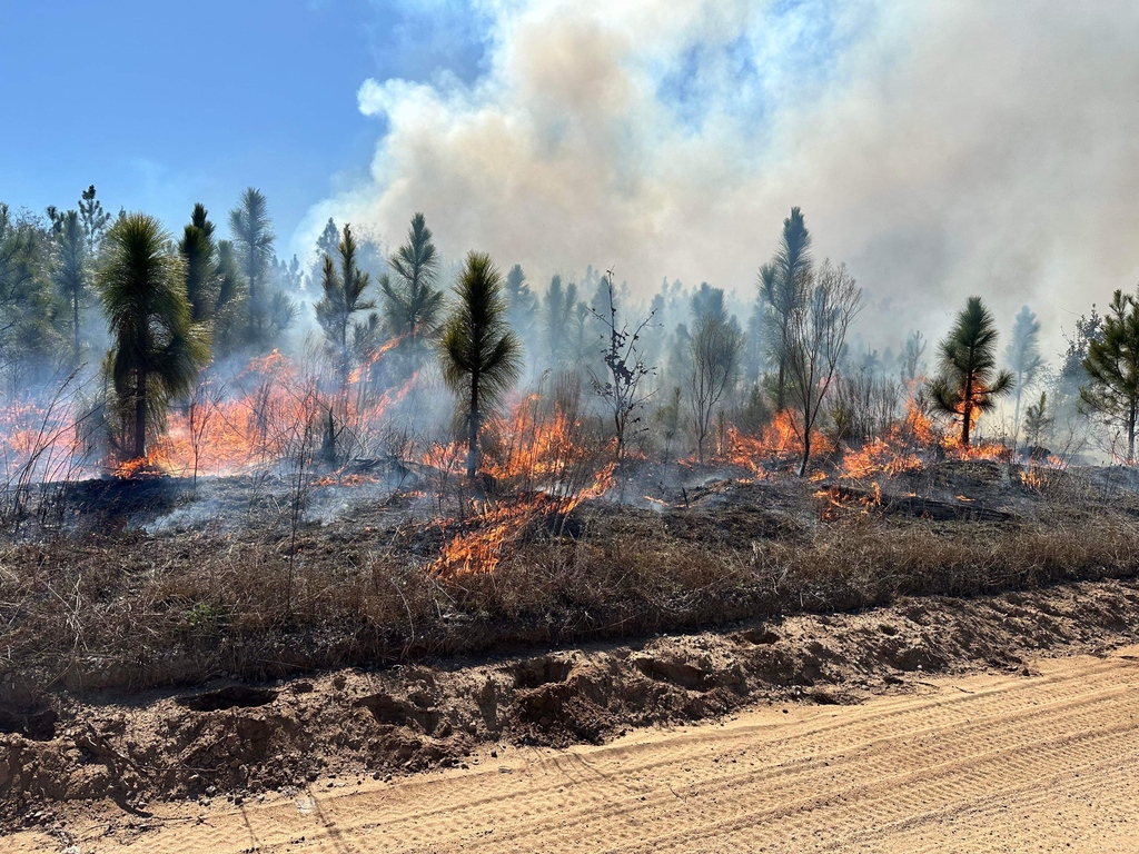 Planning a prescribed burn? Notification to the SCFC while burning outdoors is REQUIRED if you live outside of city/town limits. Citizens planning to conduct a prescribed burn must call (800) 777-3473 and speak to a SCFC dispatcher who will walk you through the approval process.