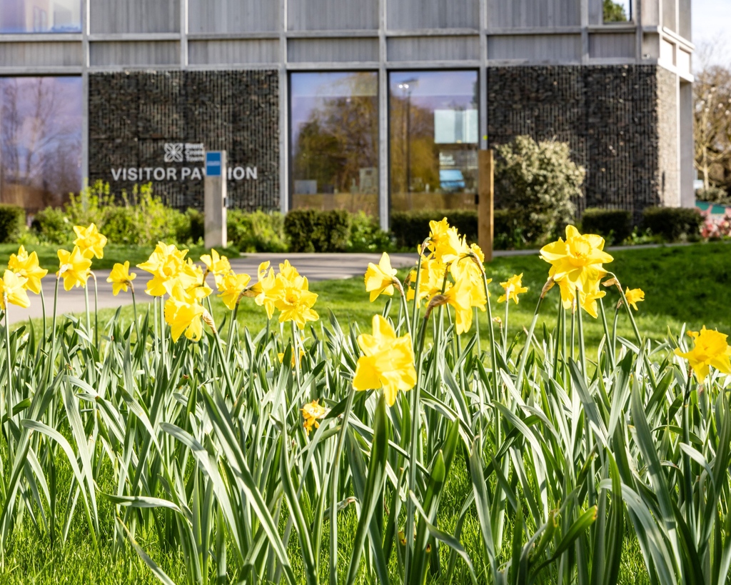 Discover the many plants and wildlife that live in Claremont Park with our spring nature trail 🦋 Collect your trail map from the Visitor Pavilion, set off around the park and test your knowledge, and head back to collect your reward on completion! ➡️ l8r.it/OJz9