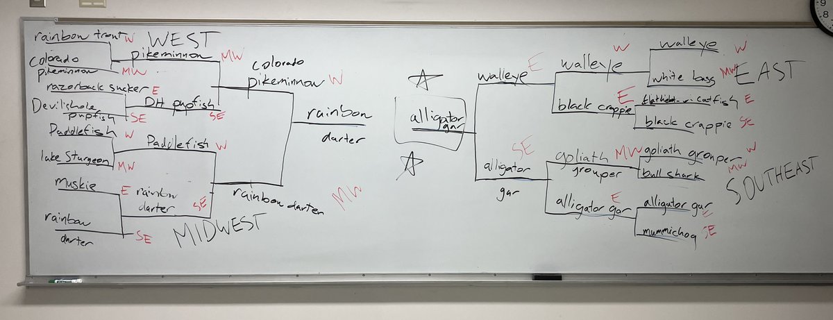 Fish March Madness in class today @BioNMU...