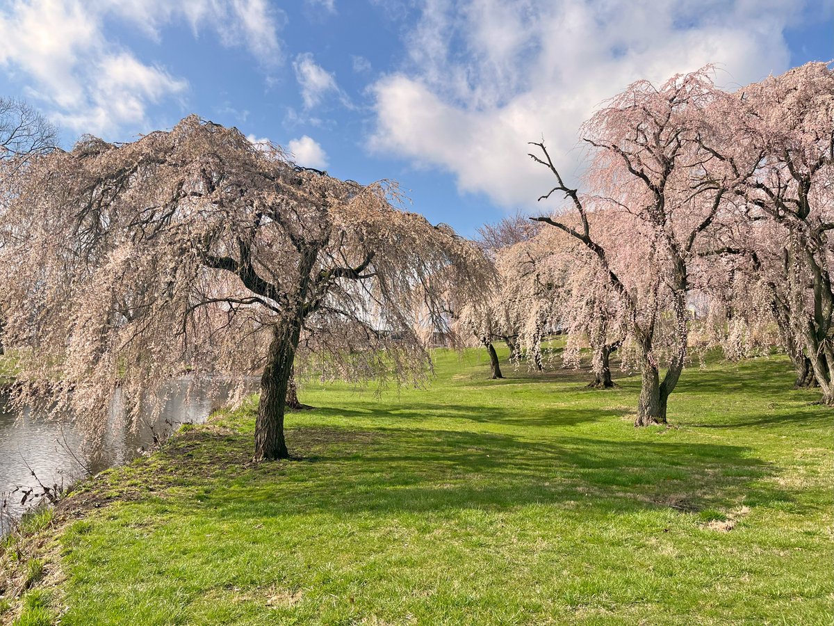 Canton Parks and Recreation tweet media