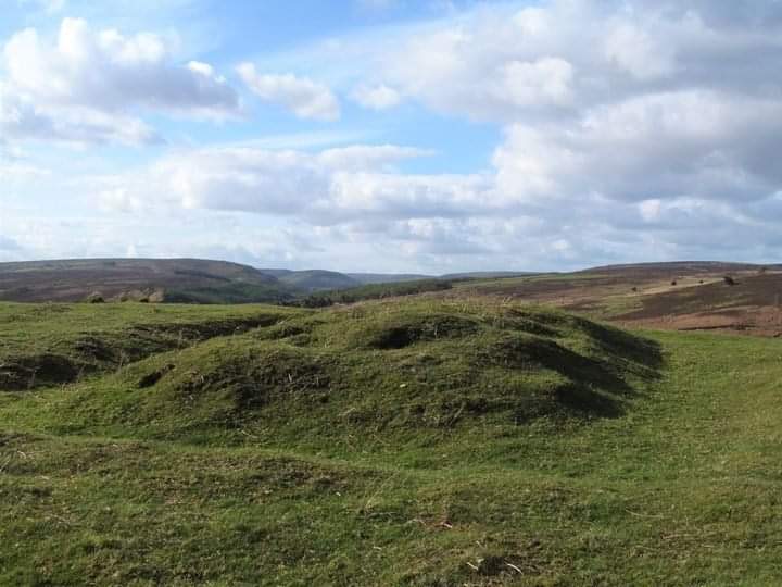 Medieval Pillow Mound: These artificial earthworks were primarily constructed for the breeding and management of rabbits, which were a valued resource in the medieval period.

The significance of rabbits within the medieval economy cannot be overstated. They provided a reliable