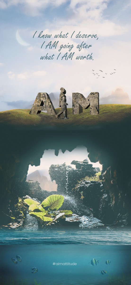 AIM ATTITUDE tweet media