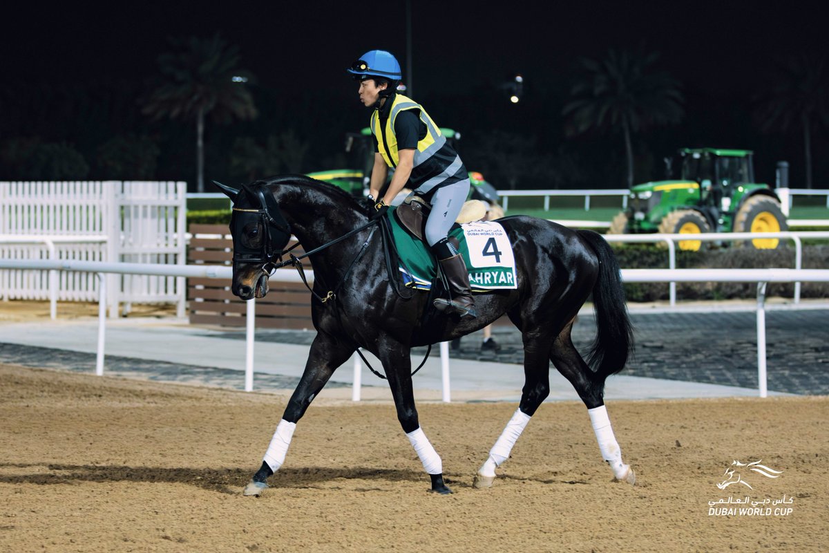 RacingDubai tweet picture