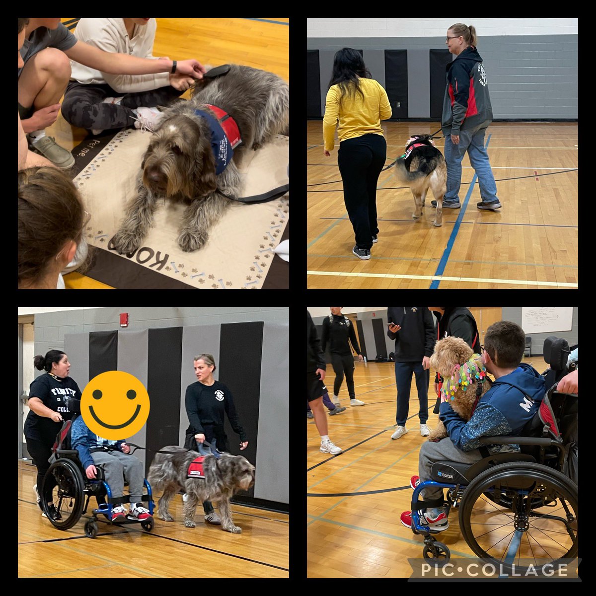 Oakdale HS students worked on their Dog Grooming & Dog Walking skills during Unified LA &L while they practiced Work Fitt.  Today they got to put those skills to use with real live dogs!  @FCPSMaryland #WorkFitt #vocationalskills #jobskills #fcpspe