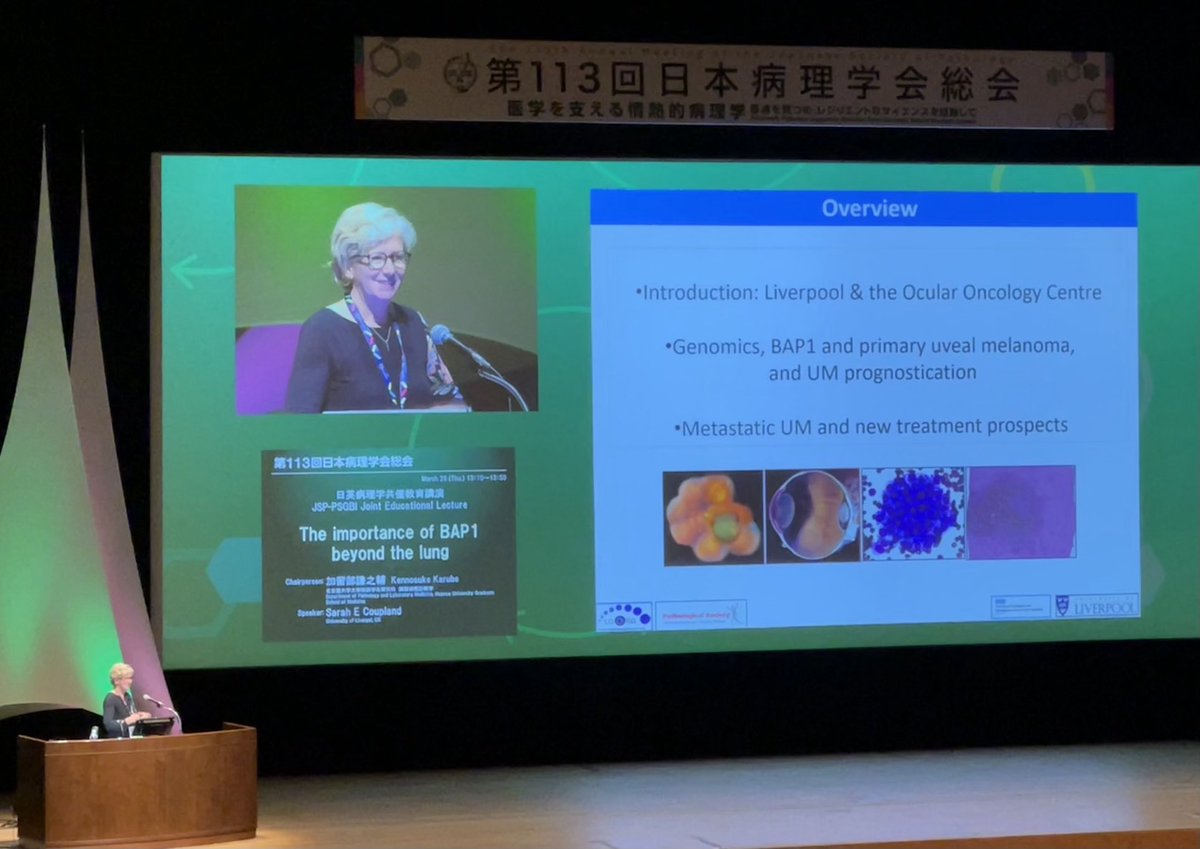 I’d the pleasure of representing ⁦@pathsoc⁩ & my research group to explain BAP1’s role in cancer, esp. uveal melanoma, at the Japanese Society of Pathology ⁩ ⁦@icanceresearch⁩ ⁦@LivUni⁩ ⁦@LivHospitals⁩ ⁦⁦@RCPath⁩ ⁦