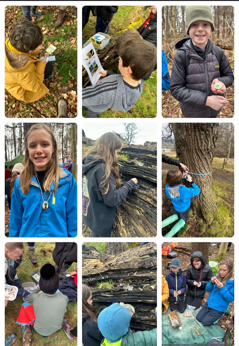 #DPSP6H enjoyed working with fourth year students @StirUni taking part in different activities, learning all about nature! We identified the characteristics different minibeasts, calculated the age of trees and learned about camouflage!